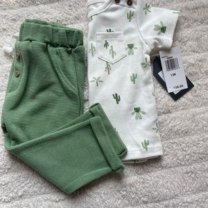 Bon Bebe Cactus Set